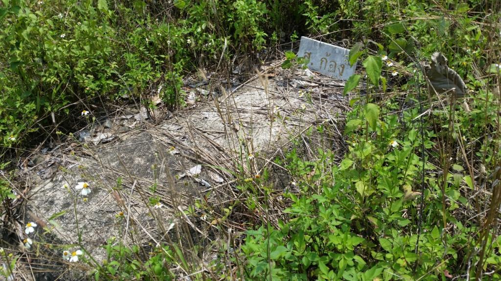 2018-05-08 13.18.07.jpg