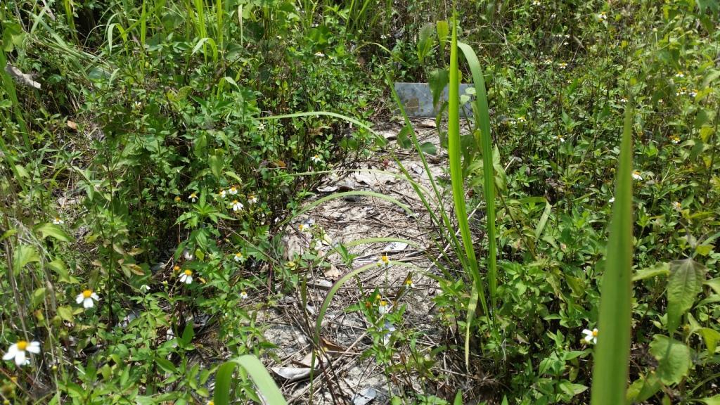 2018-05-08 13.18.31.jpg