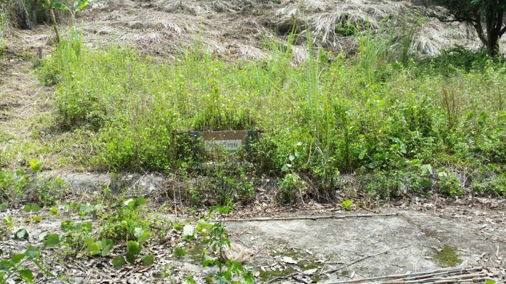 2018-05-08 13.21.03.jpg