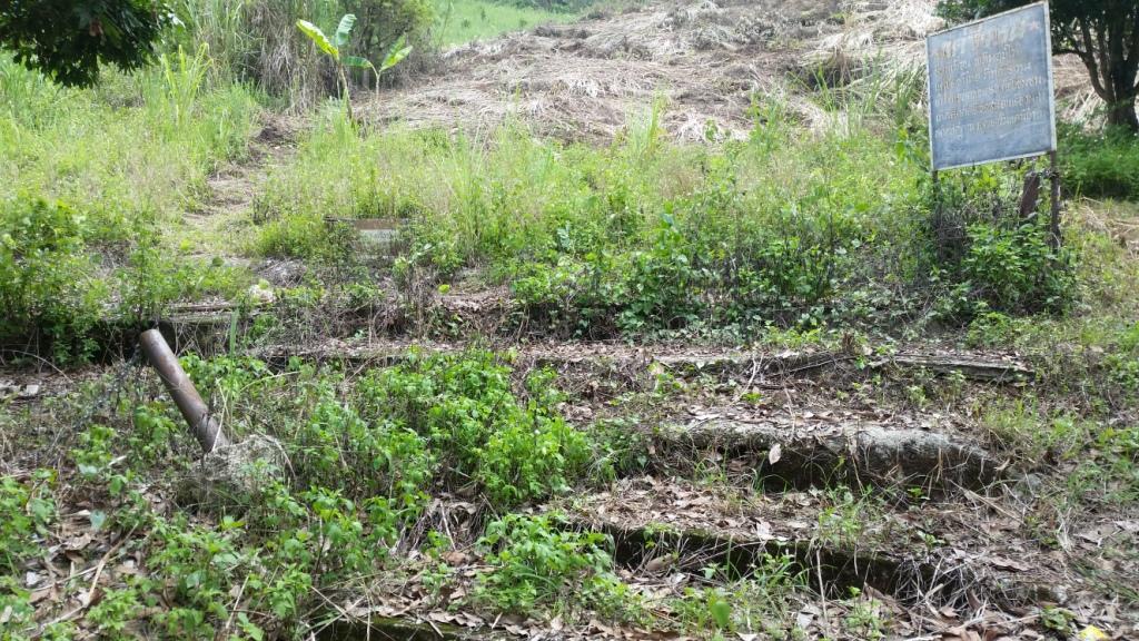 2018-05-08 13.21.18.jpg