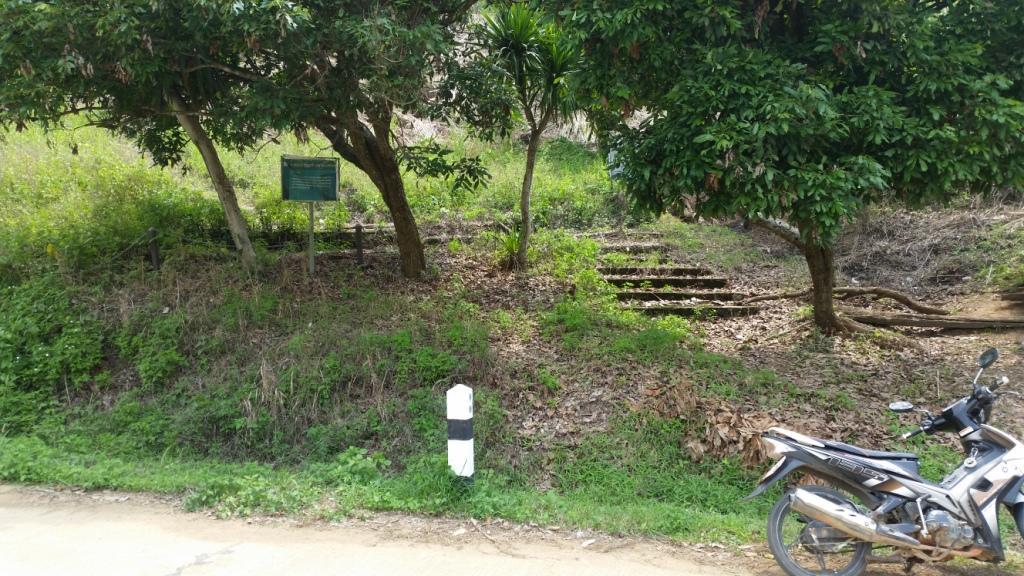 2018-05-08 13.21.38.jpg