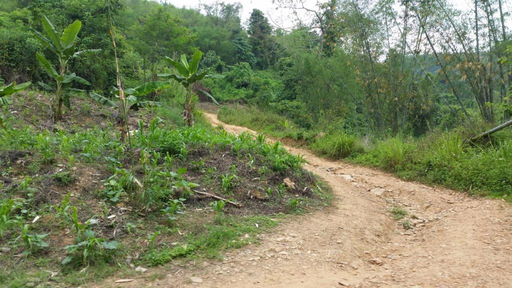 2018-05-08 14.01.24.jpg