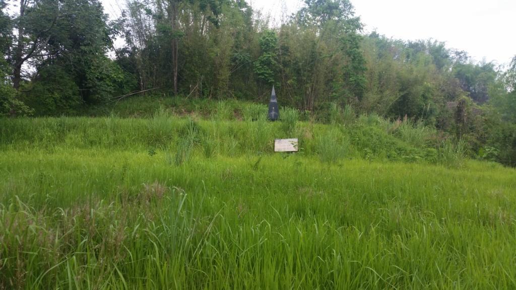 2018-05-08 15.12.27.jpg