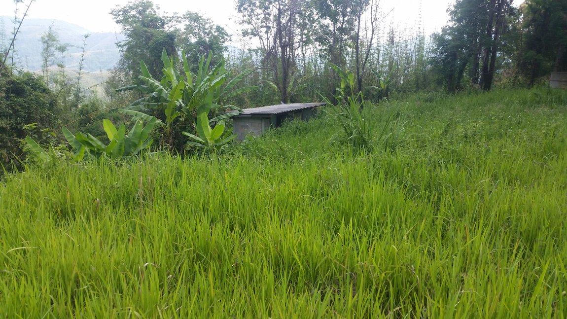 2018-05-08 15.13.47.jpg