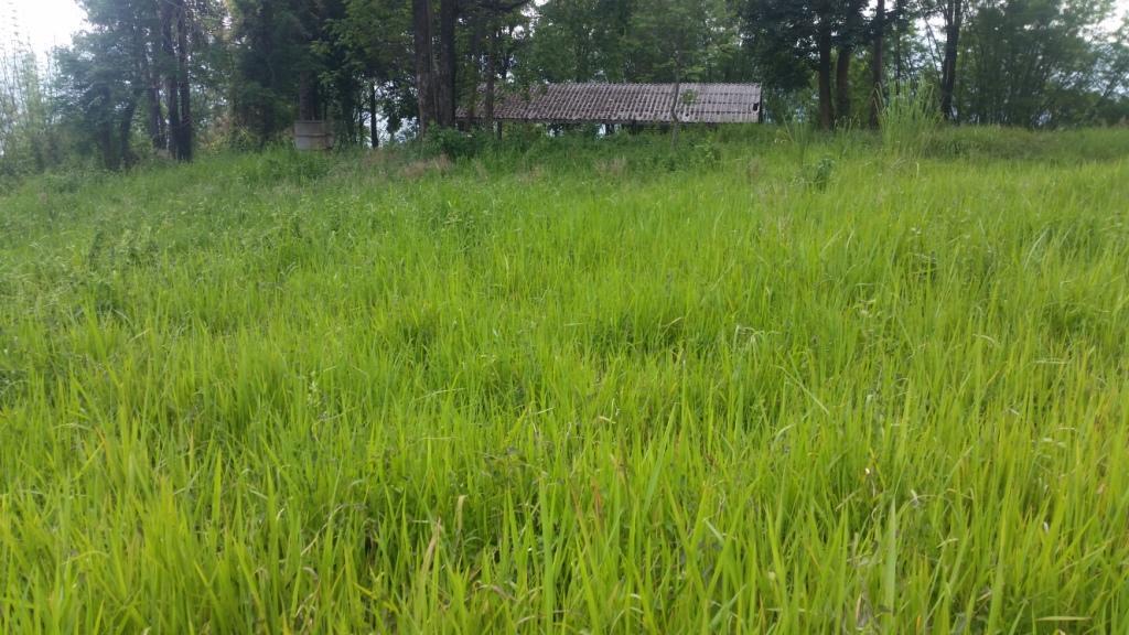 2018-05-08 15.13.50.jpg