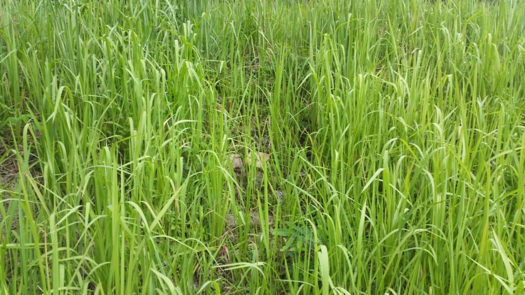 2018-05-08 15.14.26.jpg