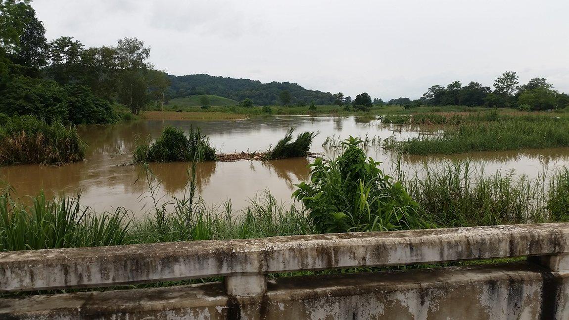 2018-07-30 14.32.52.jpg