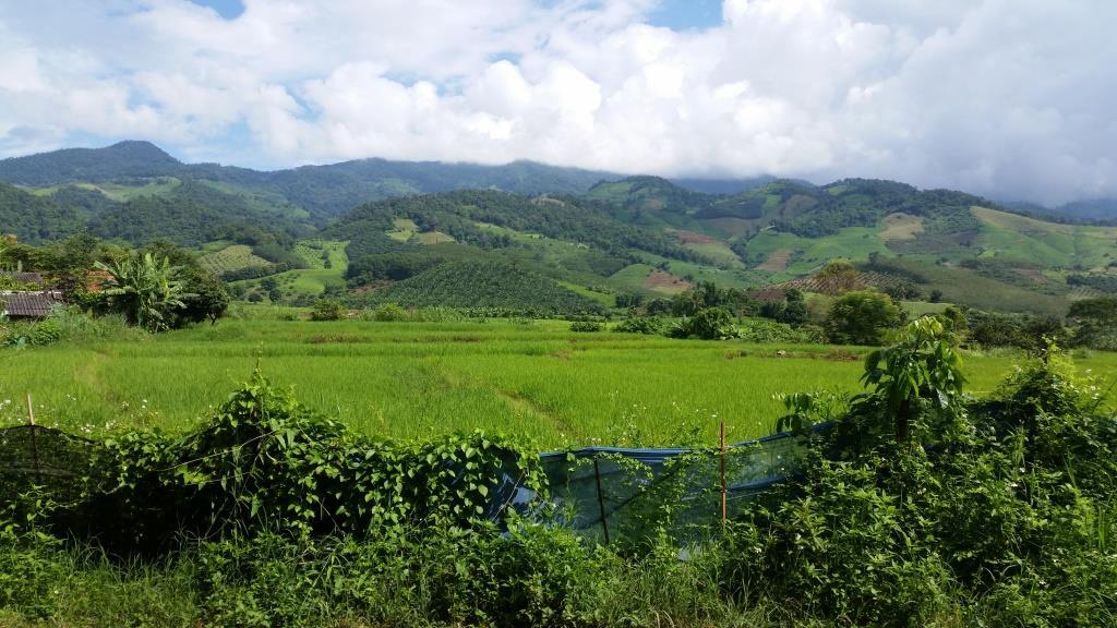 2018-09-10 14.33.14.jpg