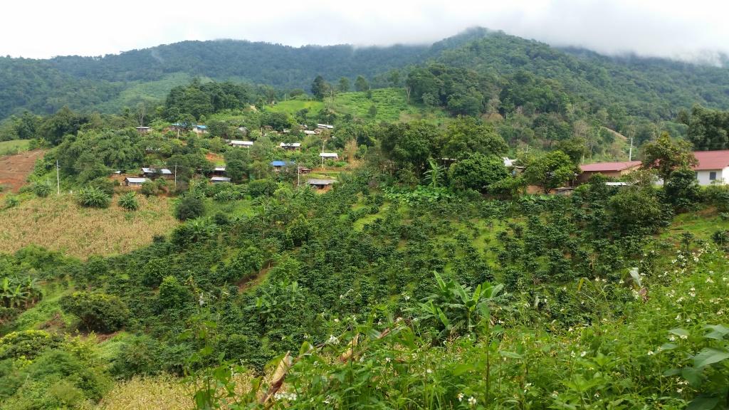 2018-09-10 14.49.39-1.jpg