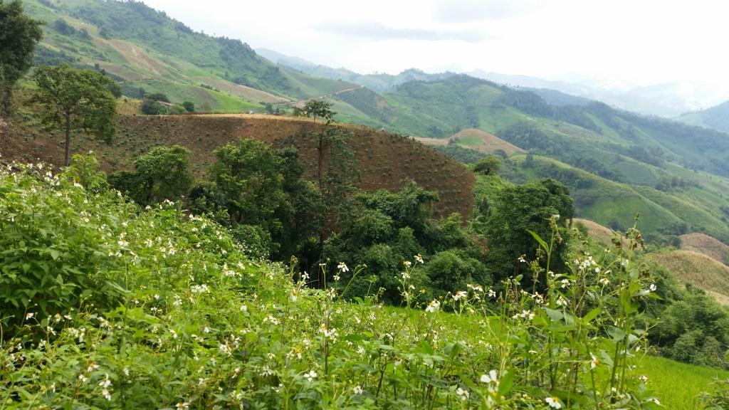 2018-09-10 14.55.48.jpg