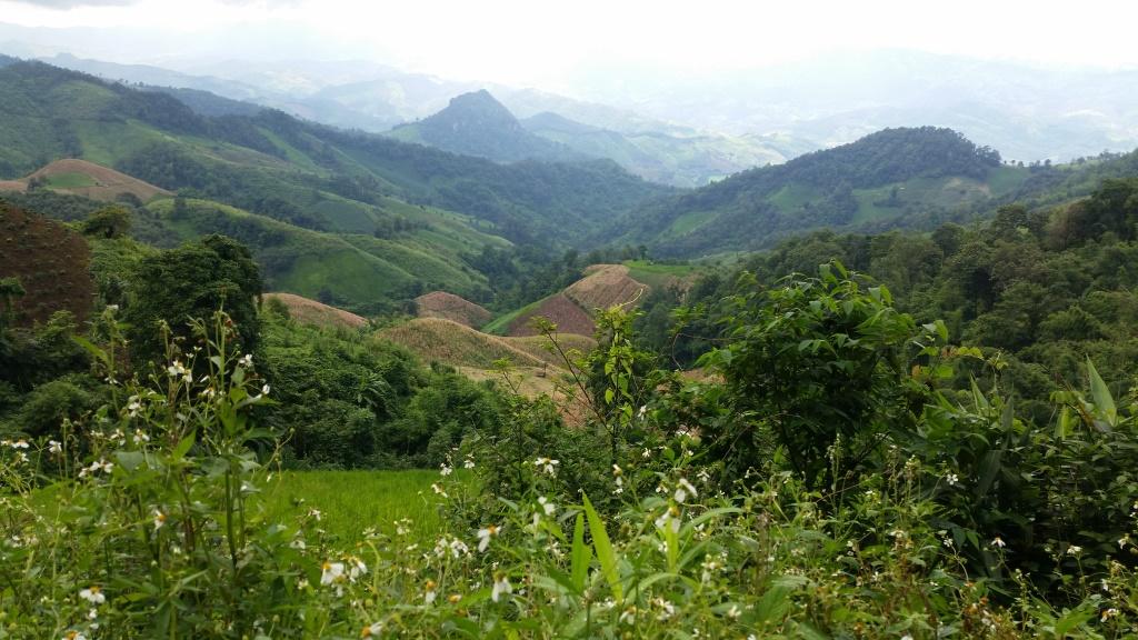 2018-09-10 14.55.58.jpg