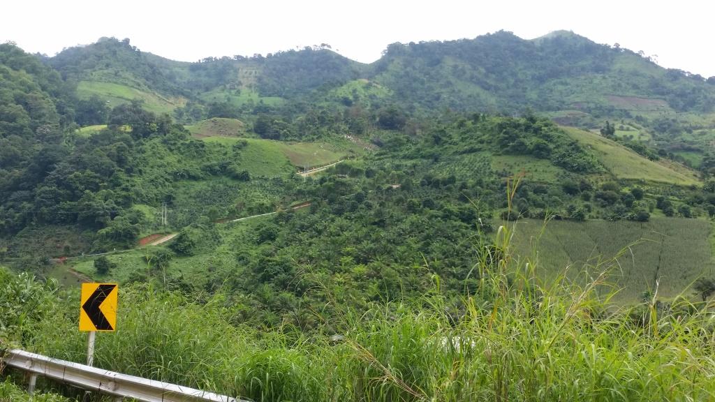 2018-09-10 15.04.17.jpg