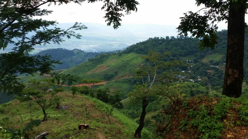 2018-09-10 15.13.47-1.jpg