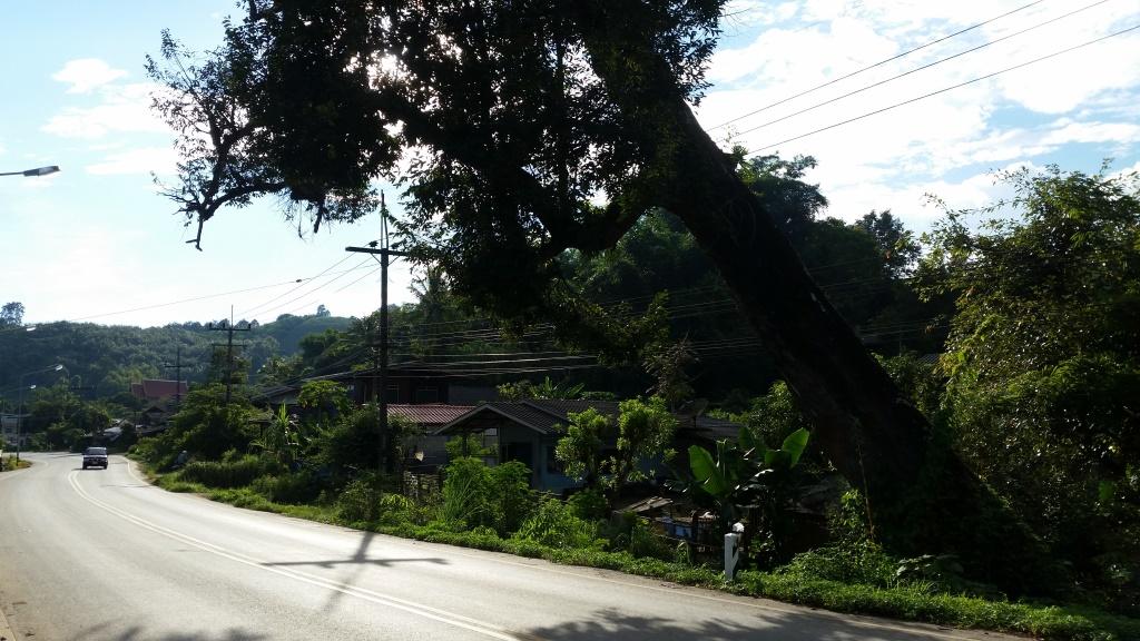 2018-09-10 16.42.03-1.jpg