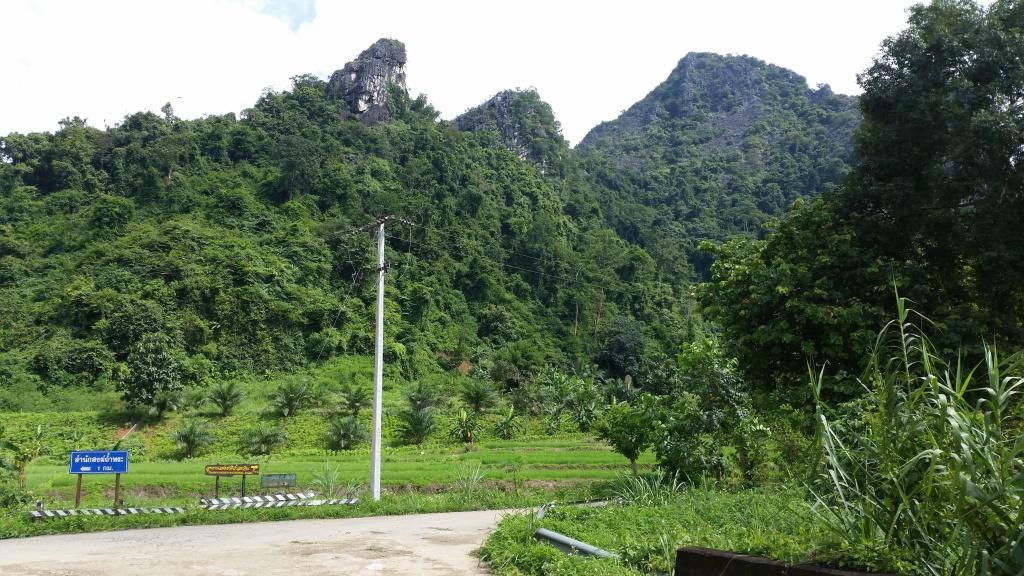 2018-09-11 09.58.37-1.jpg