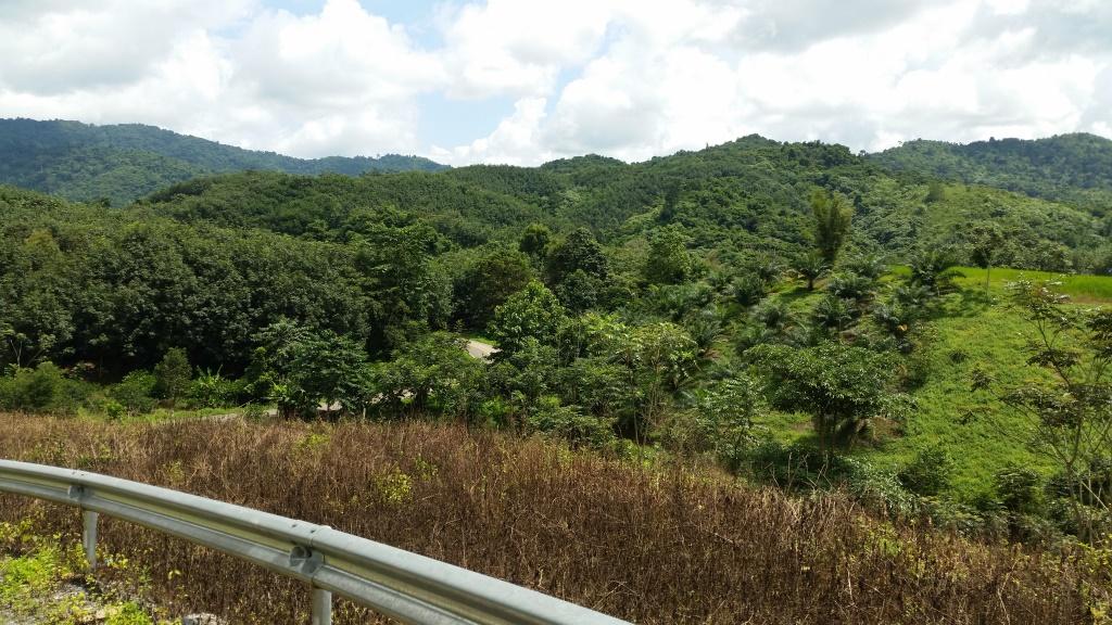 2018-09-11 11.01.00.jpg