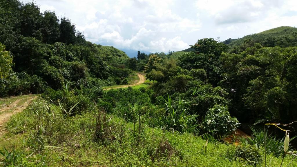 2018-09-11 11.10.30.jpg