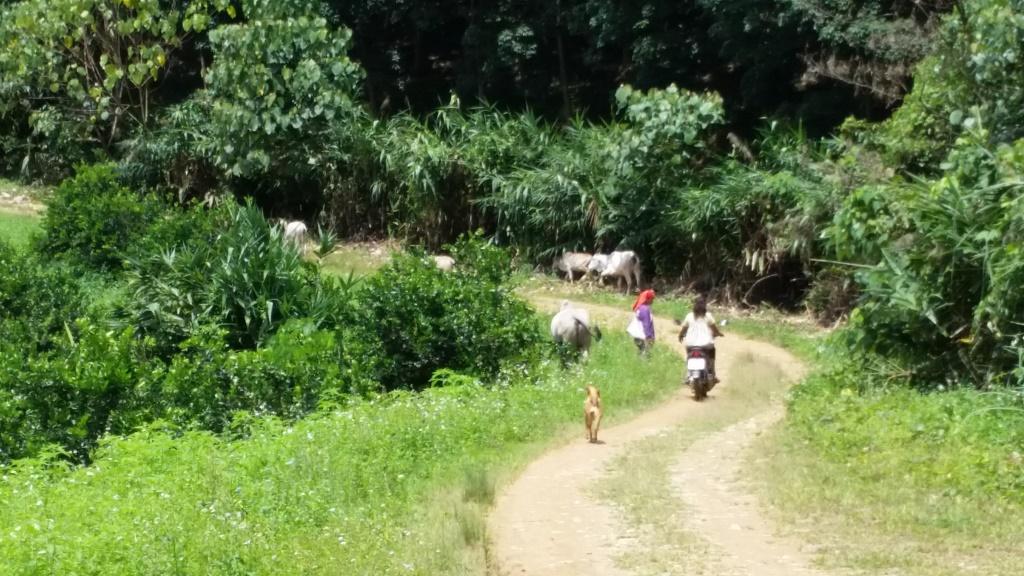 2018-09-11 11.18.23-1.jpg