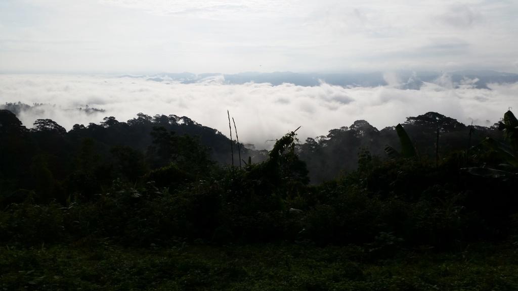 2018-09-12 07.37.14.jpg