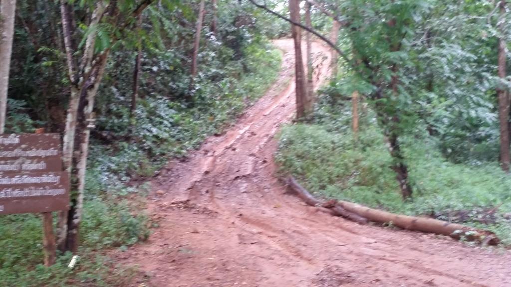 2018-09-12 14.53.33.jpg