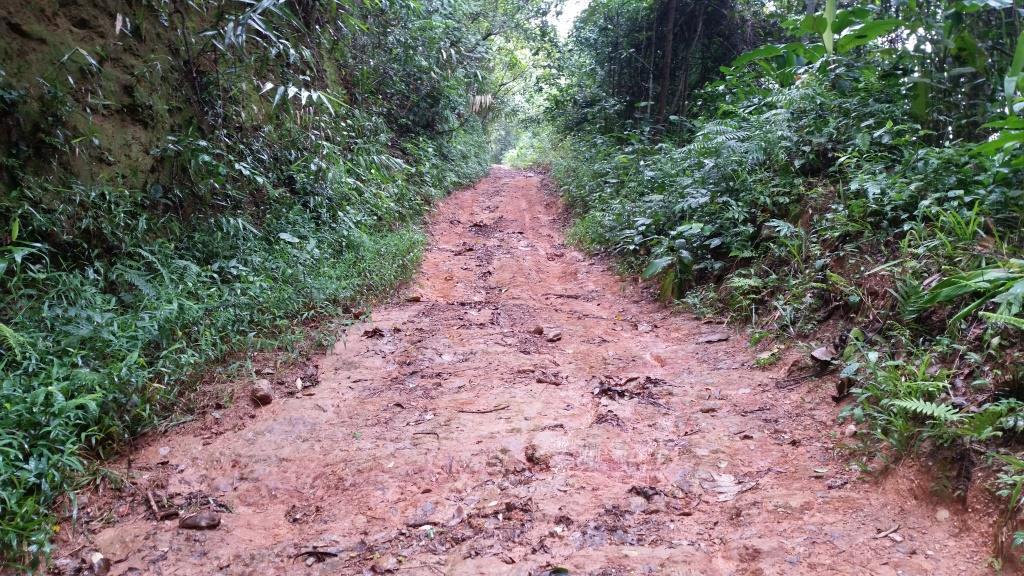 2018-09-12 14.55.40.jpg