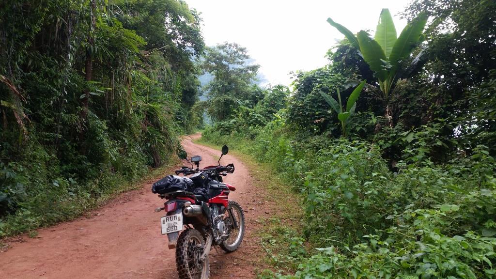 2018-09-12 15.38.52.jpg