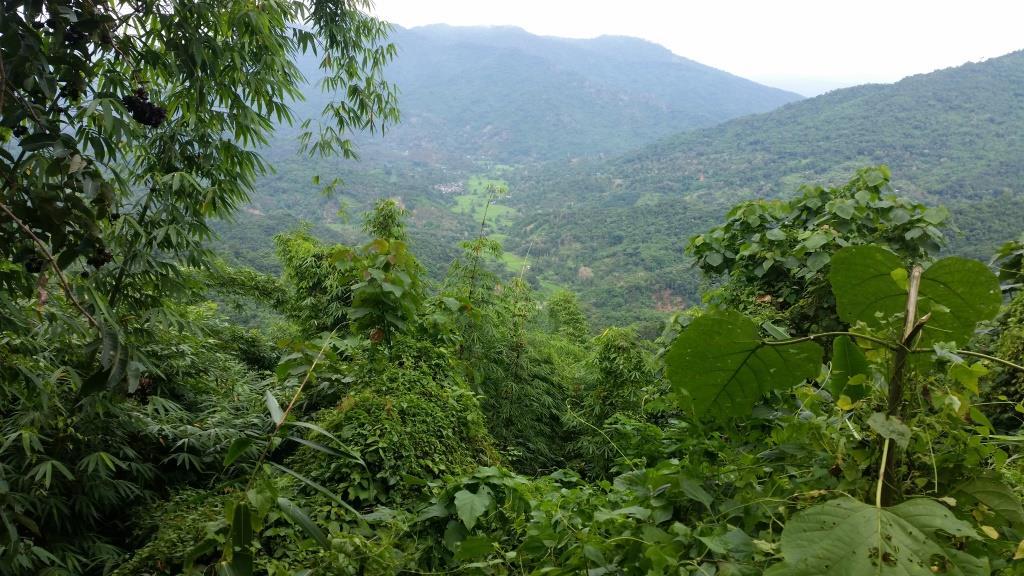 2018-09-12 15.41.38.jpg