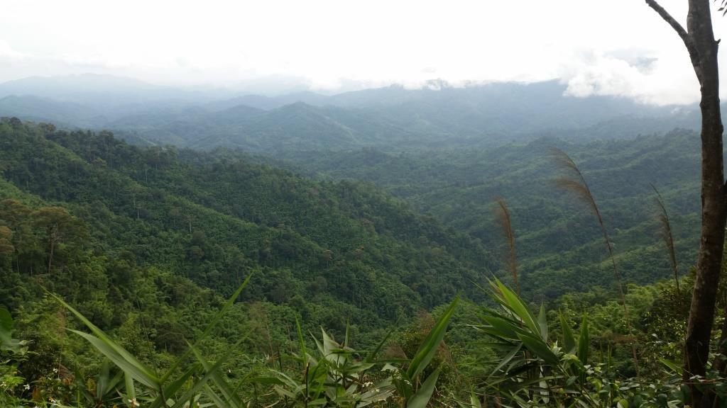 2018-09-12 15.52.58.jpg