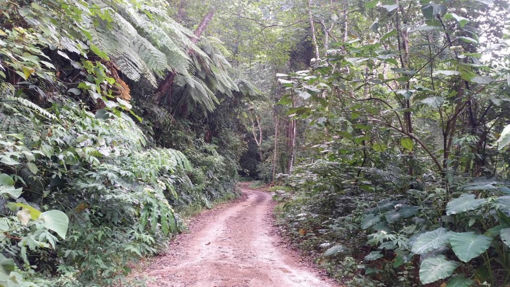 2018-09-12 16.03.20.jpg