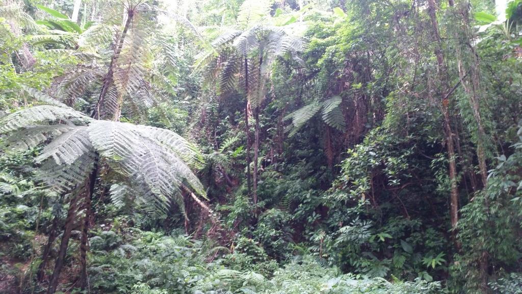 2018-09-12 16.04.58.jpg