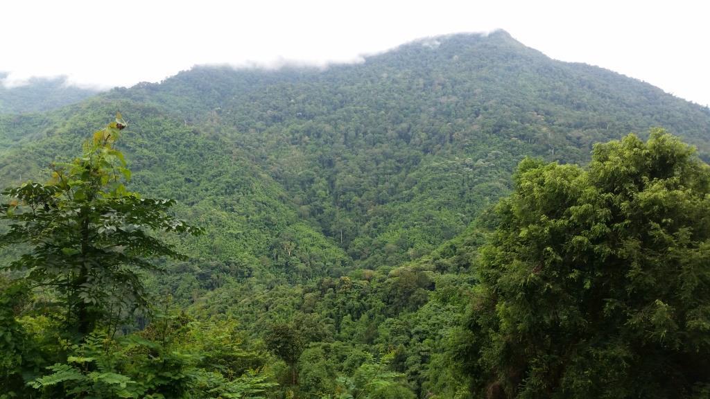 2018-09-12 16.15.57.jpg