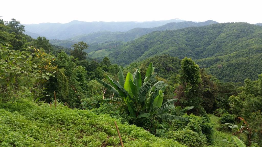 2018-09-12 16.26.46.jpg