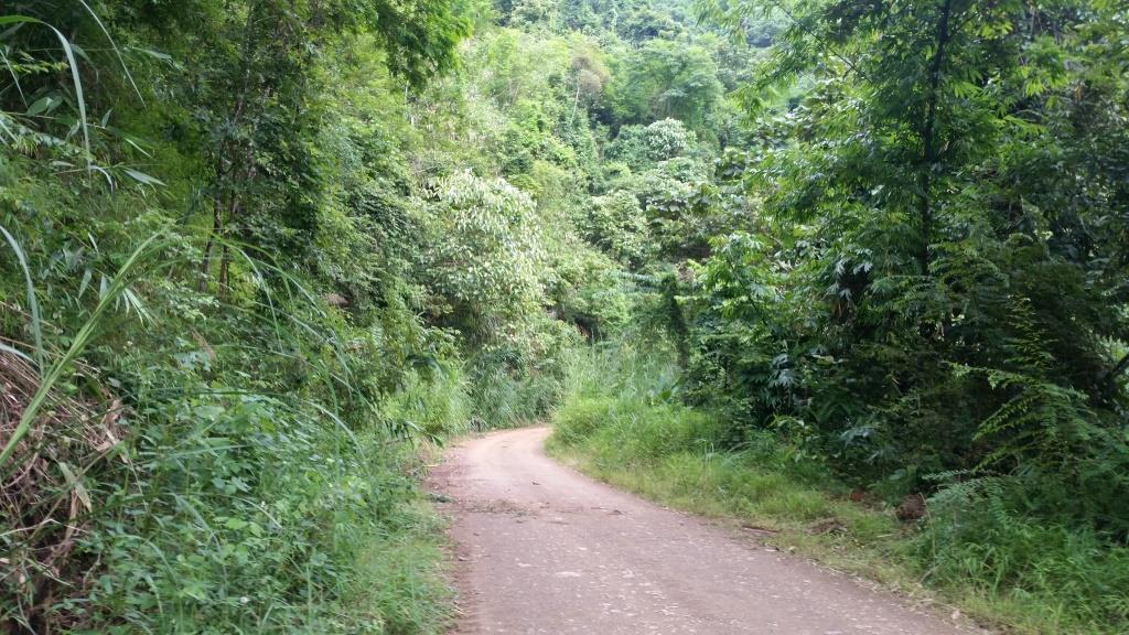 2018-09-12 16.42.32.jpg