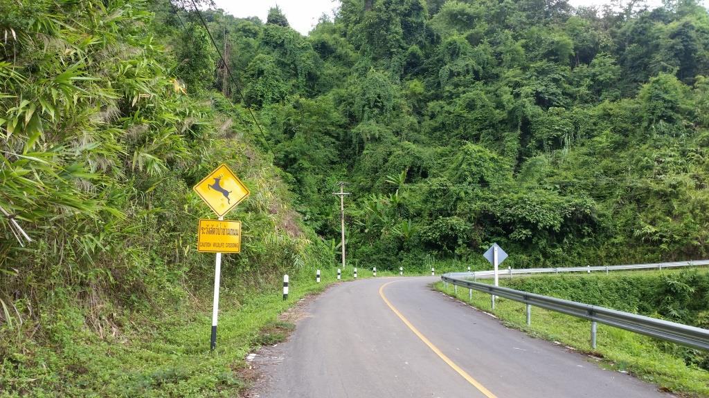 2018-09-13 12.21.13.jpg