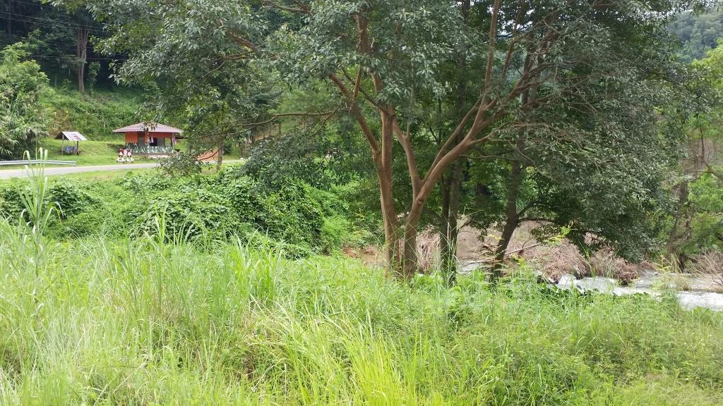 2018-09-13 12.34.25.jpg