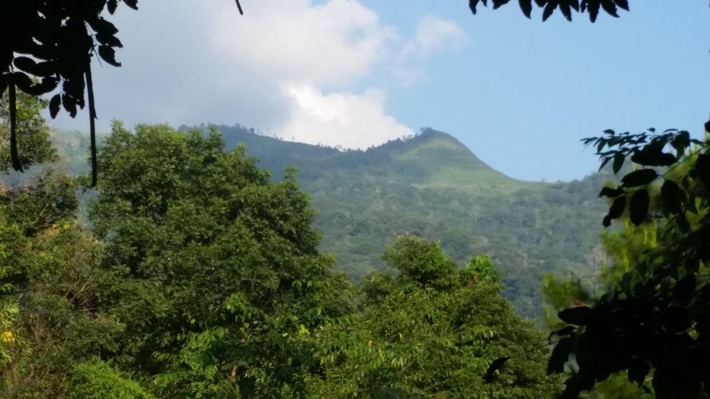 2018-10-09 16.26.07.jpg