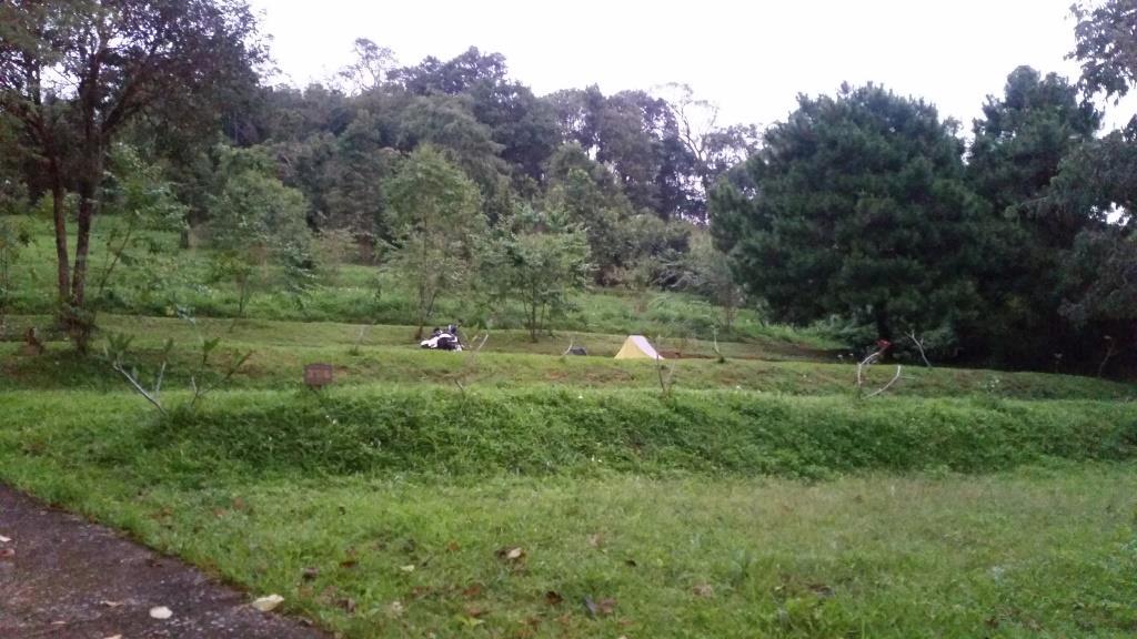 2018-10-10 06.01.27-1.jpg