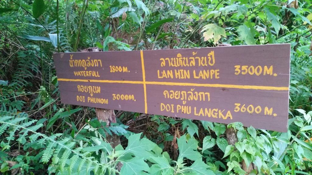 2018-10-10 06.18.20.jpg