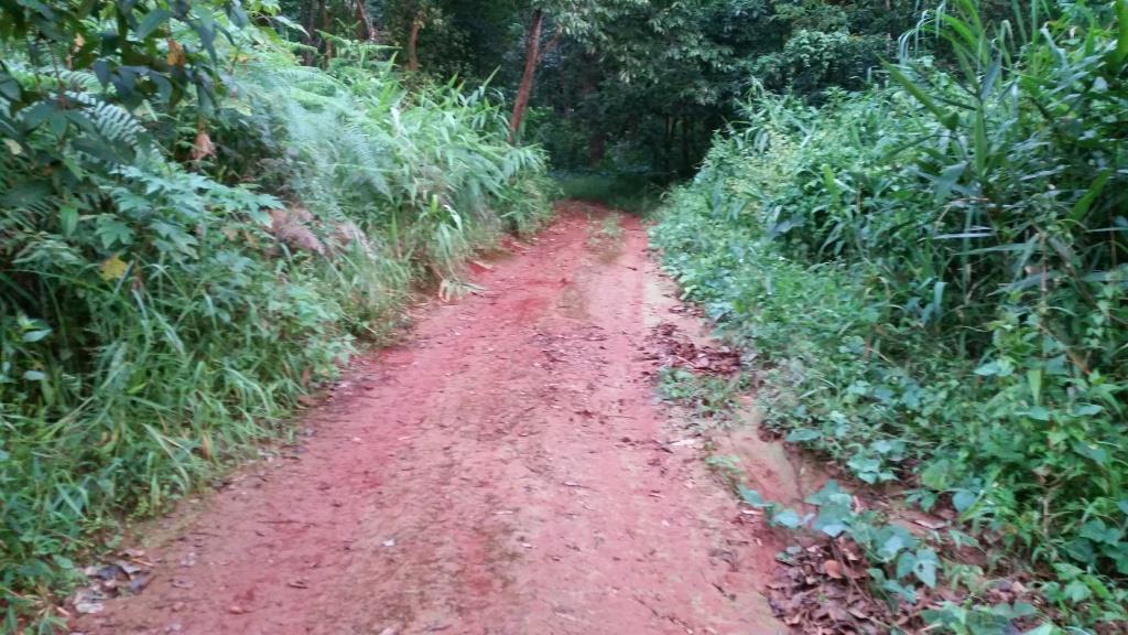 2018-10-10 06.19.22.jpg