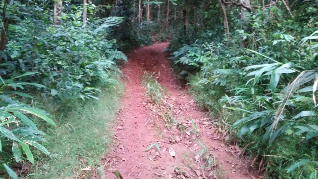 2018-10-10 06.21.08.jpg