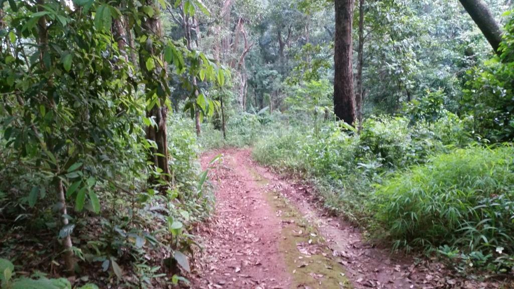 2018-10-10 06.28.49-1.jpg