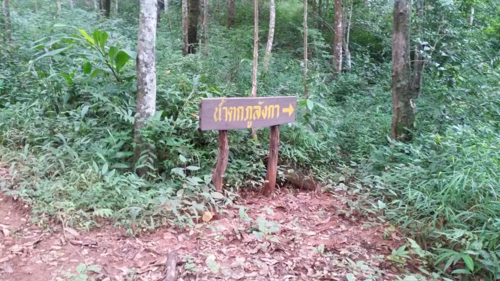 2018-10-10 06.47.35-1.jpg