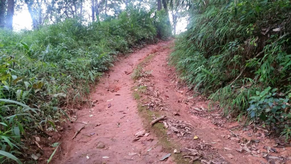 2018-10-10 06.56.35.jpg