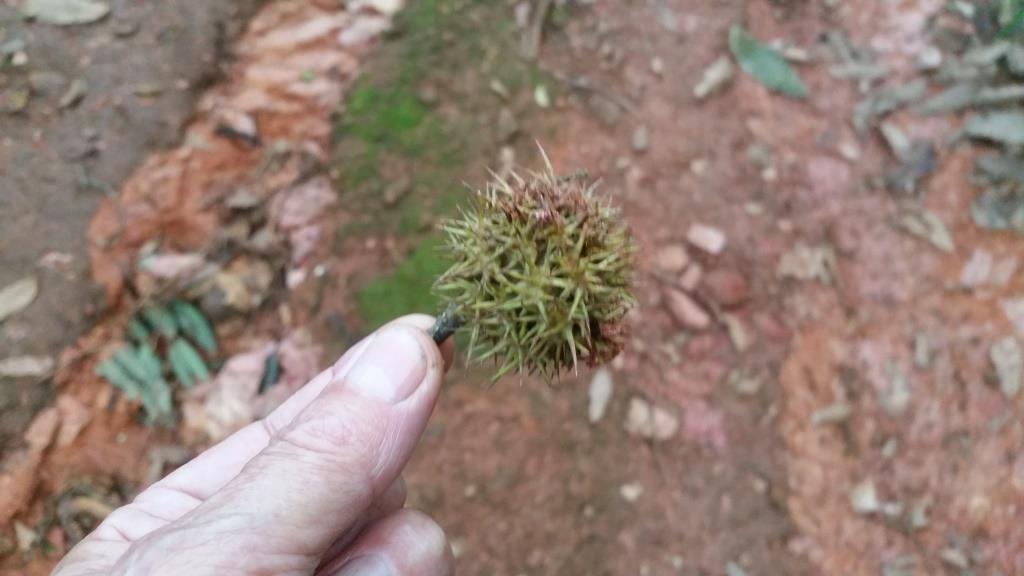 2018-10-10 06.57.32.jpg