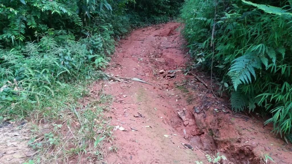 2018-10-10 06.59.14.jpg