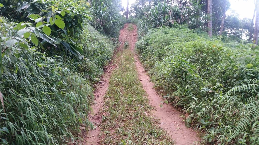 2018-10-10 07.06.29-1.jpg