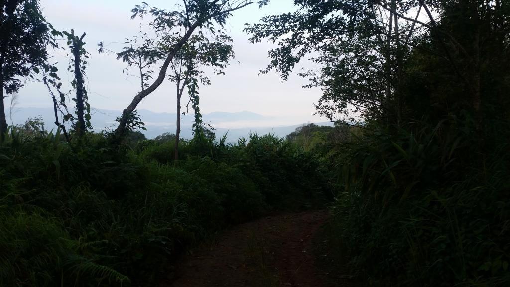 2018-10-10 07.26.14.jpg