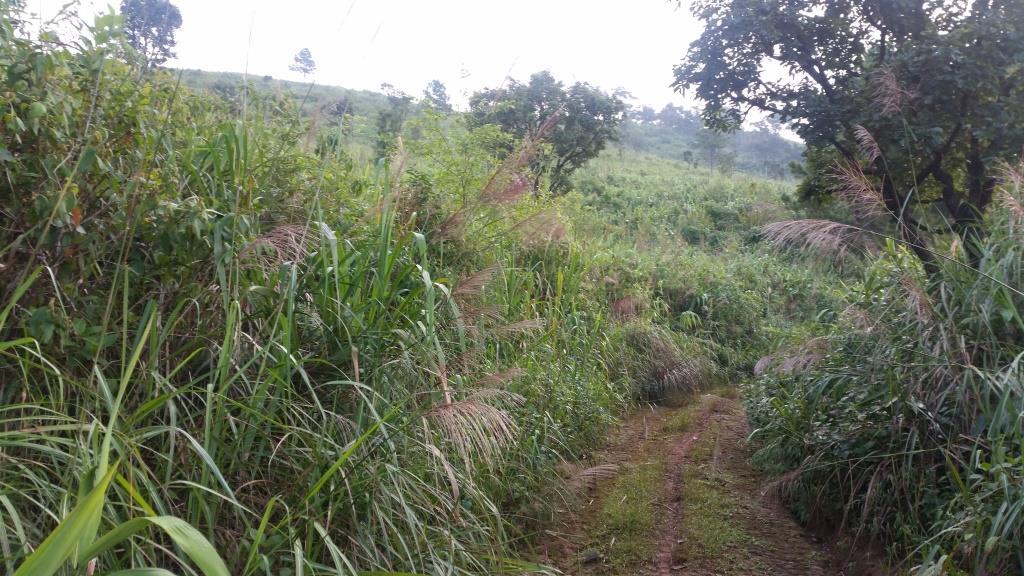 2018-10-10 07.33.19.jpg