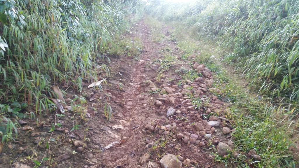 2018-10-10 07.38.48-1.jpg