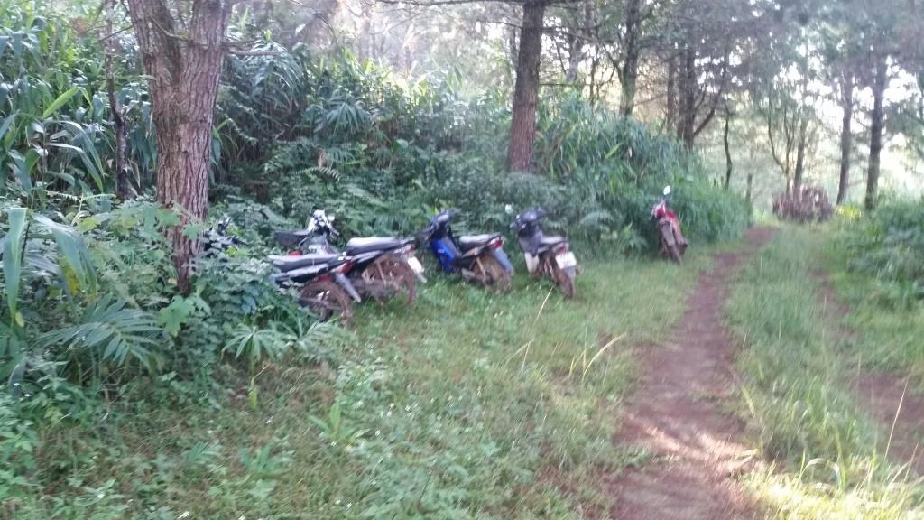 2018-10-10 07.48.24.jpg